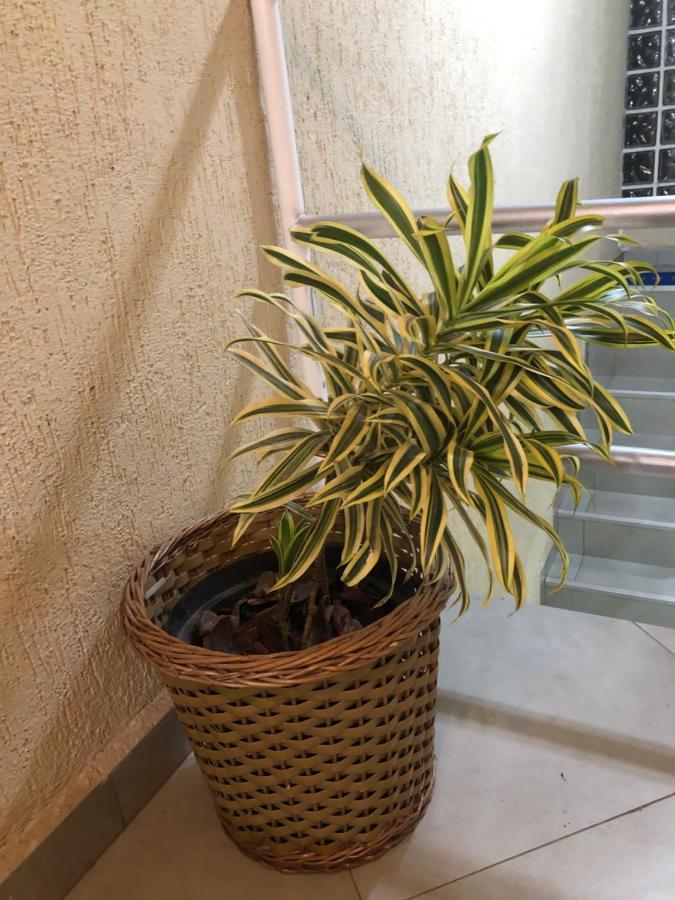 Hostel Quartos Com Banheiro Individual Perto Do Aeroporto Гуарульюс Екстер'єр фото